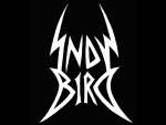 Heavy Metal Logo Design